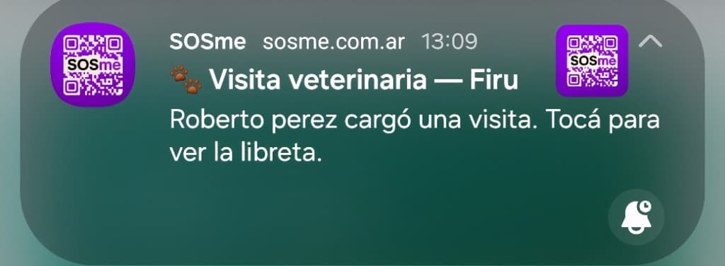 Notificación push de SOSme: Roberto Perez cargó una visita veterinaria para Firu